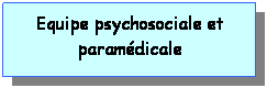 Zone de Texte: Equipe psychosociale et paramdicale
 
 
 
 

